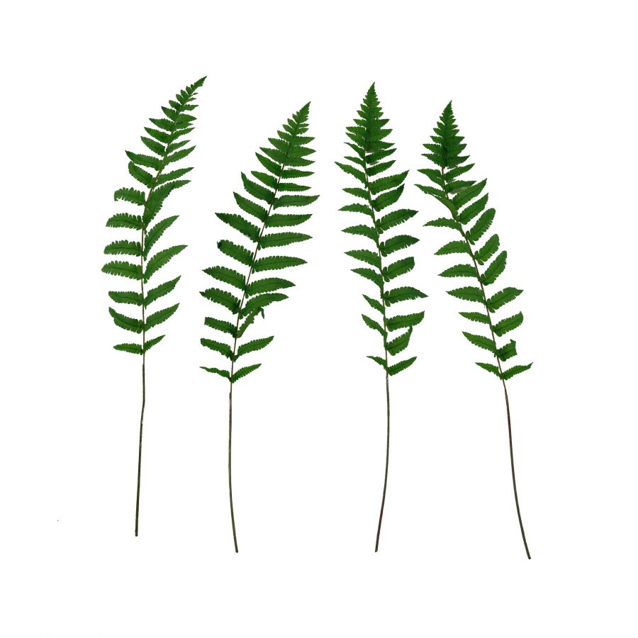 High Quality Artificial Long Silk Ferns (4-Pieces)